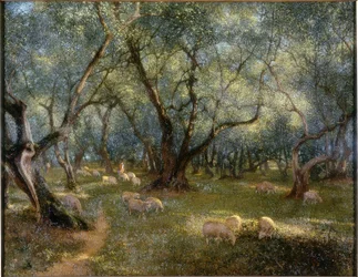 Azeitonas de St Rocco óleo sobre tela